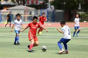 深圳男篮主,场战胜天津,男篮,世界杯买球,2026世界杯,竞彩投注,赛事分析,足球博彩