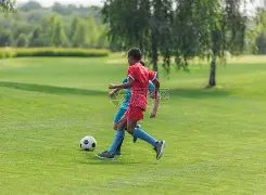 泰山与曼谷,联賽结果或,影响,世界杯买球,2026世界杯,竞彩投注,赛事分析,足球博彩