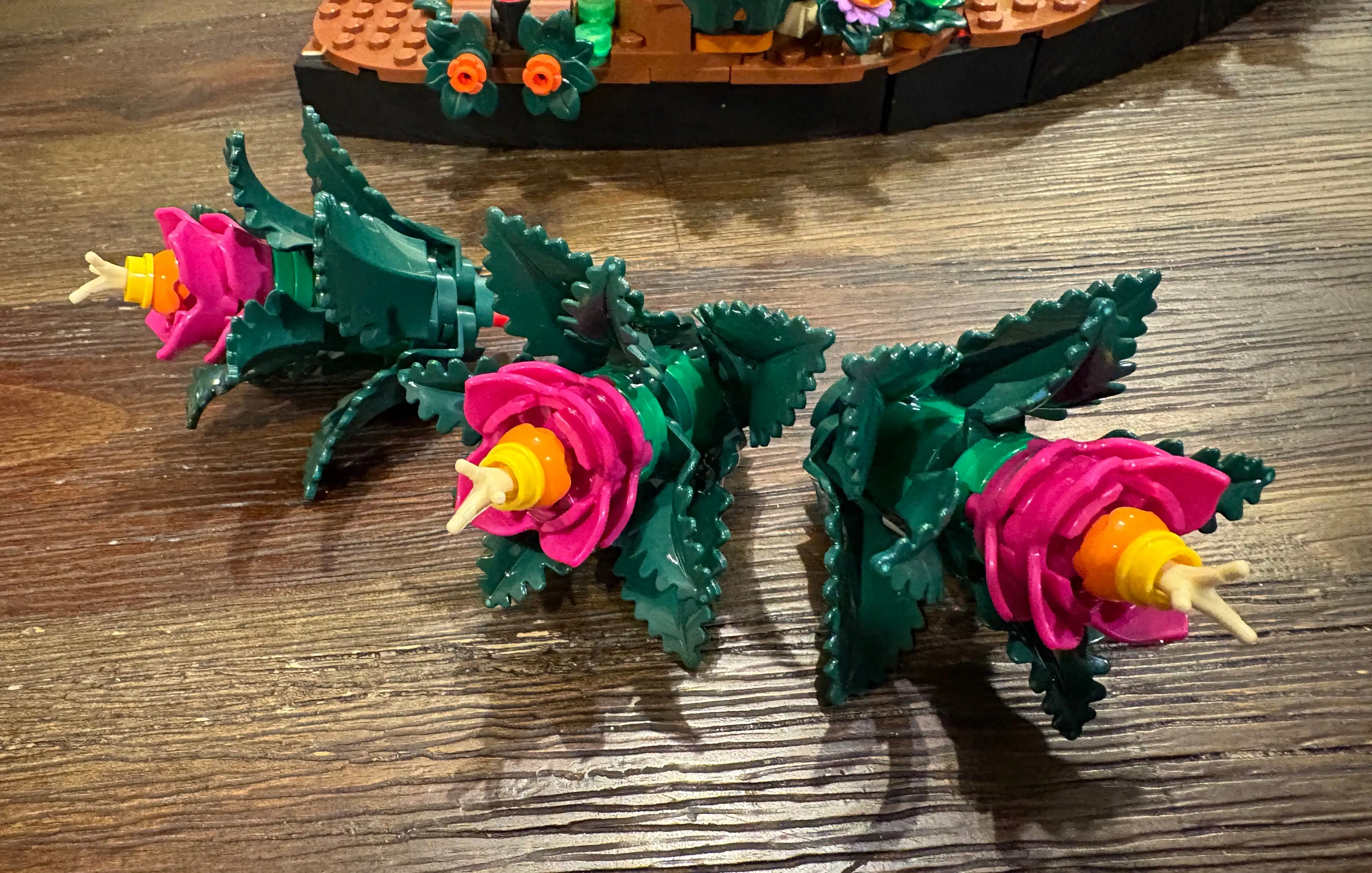 大乐透期号,专家质合分,析推荐,世界杯买球,2026世界杯,竞彩投注,赛事分析,足球博彩