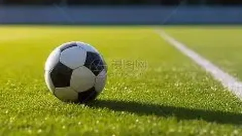 劳尔·卡林：推动乒乓球混双走向世界和奥运赛场