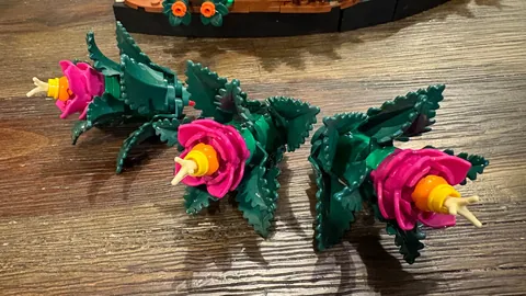 大乐透期号专家质合分析推荐：前区十码构建指南